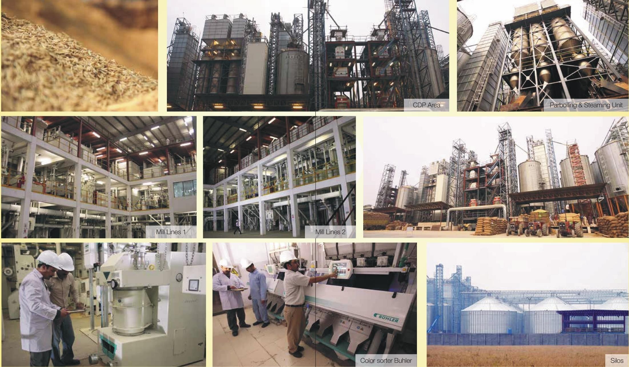 MAP Rice Mills | Premium Basmati Rice Processor
